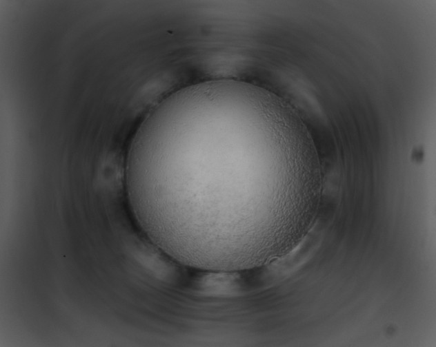 X0000101970179200807181114