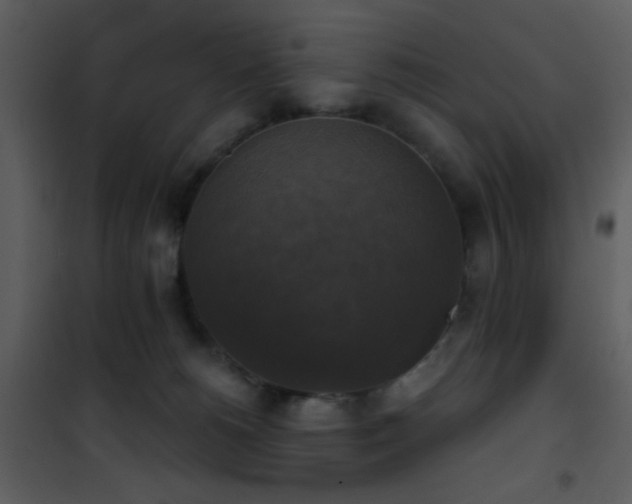 X0000101970180200807181114