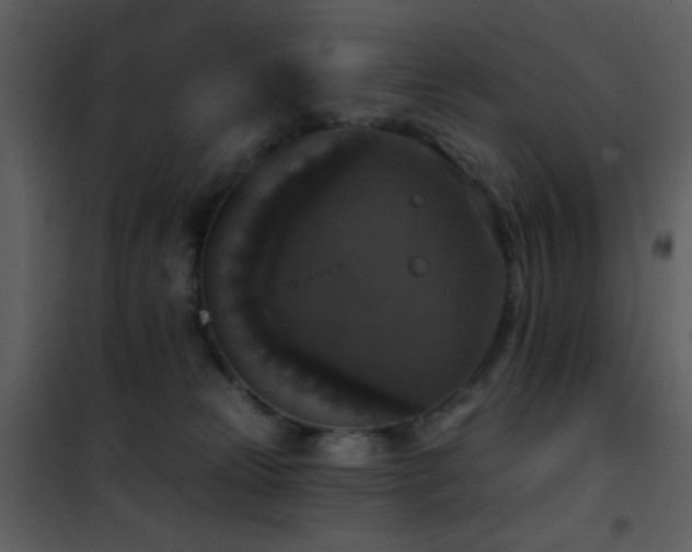 X0000101970181200807181114