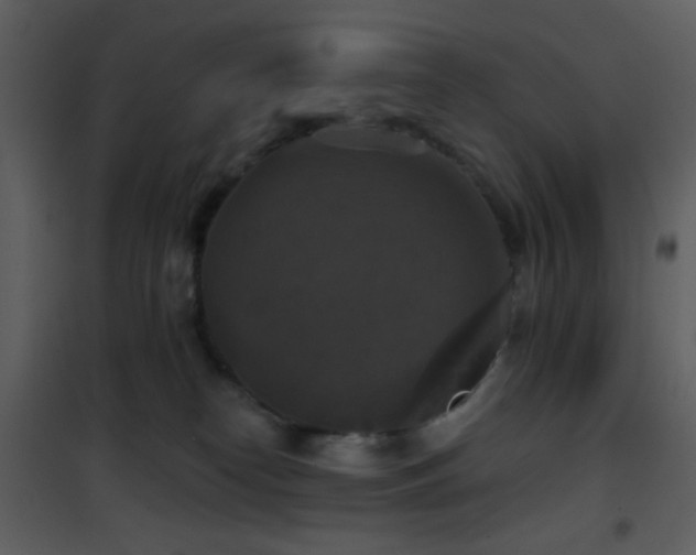X0000101970182200807181114