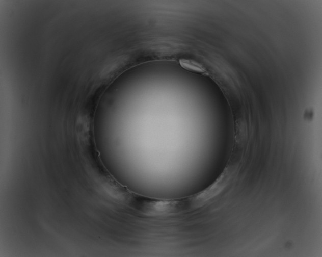 X0000101970184200807181114
