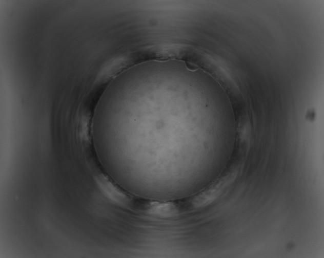 X0000101970185200807181114