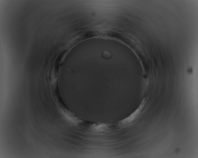X0000101970186200807181114