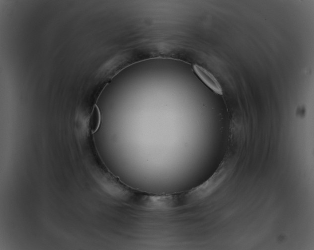 X0000101970188200807181114
