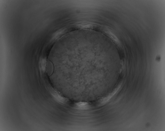 X0000101970189200807181114