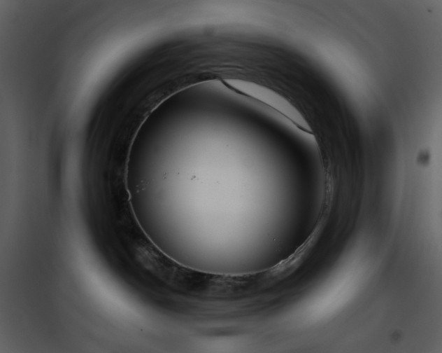 X0000101970190200807181114