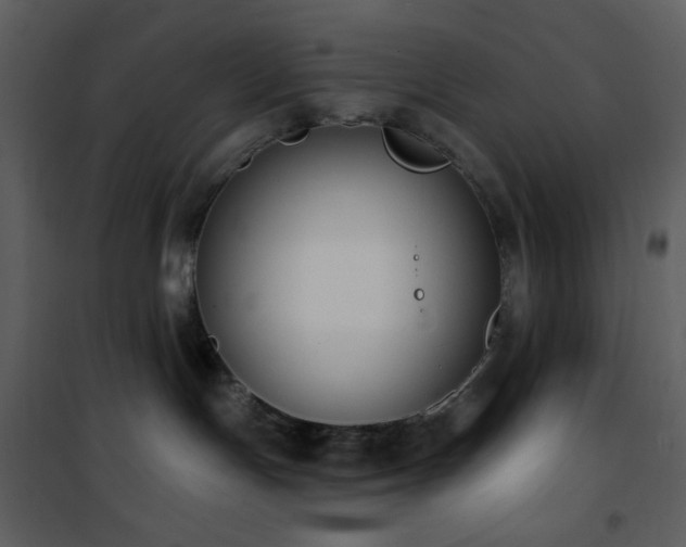 X0000101970191200807181114
