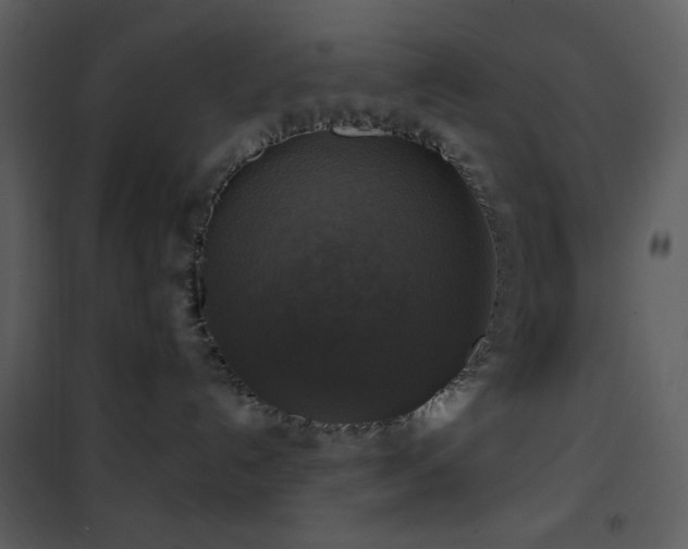 X0000101970192200807181114