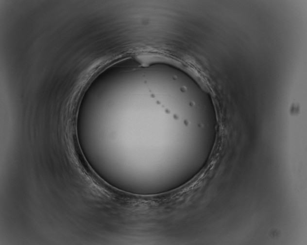 X0000101970193200807181113