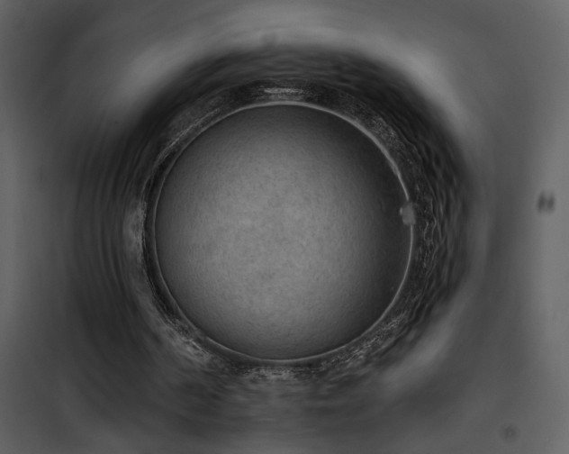 X0000101970194200807181113