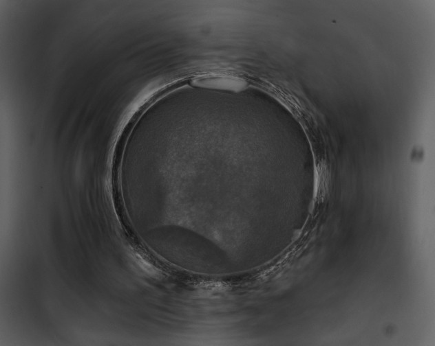 X0000101970195200807181113