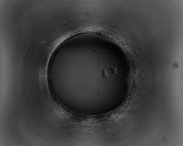 X0000101970196200807181113