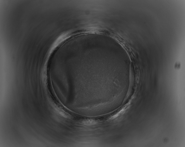 X0000101970198200807181113
