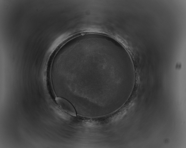 X0000101970199200807181113