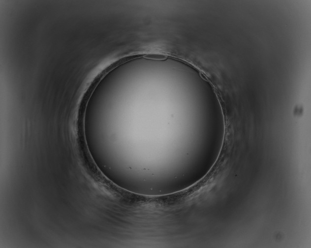 X0000101970200200807181113