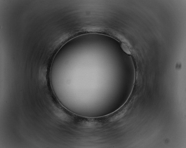 X0000101970201200807181113