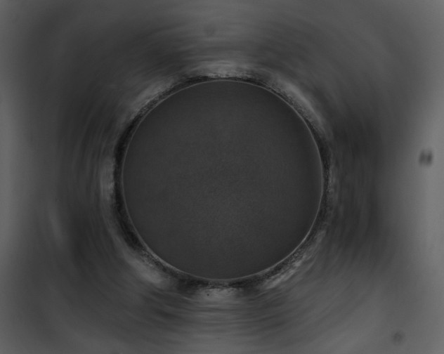 X0000101970202200807181113