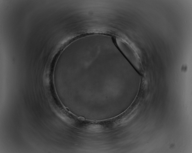 X0000101970203200807181113