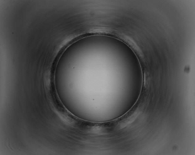 X0000101970204200807181113