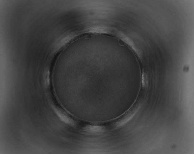 X0000101970205200807181113