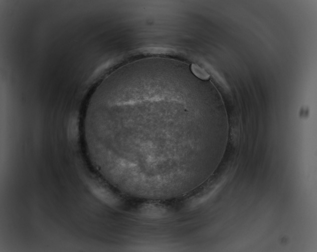 X0000101970207200807181113