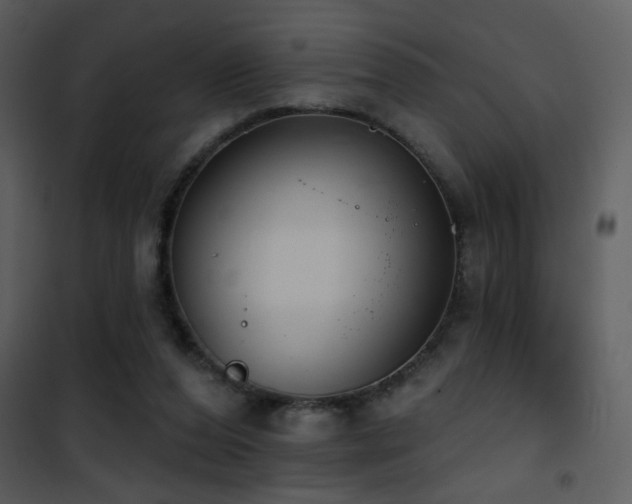 X0000101970208200807181113