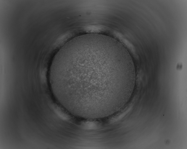 X0000101970209200807181113