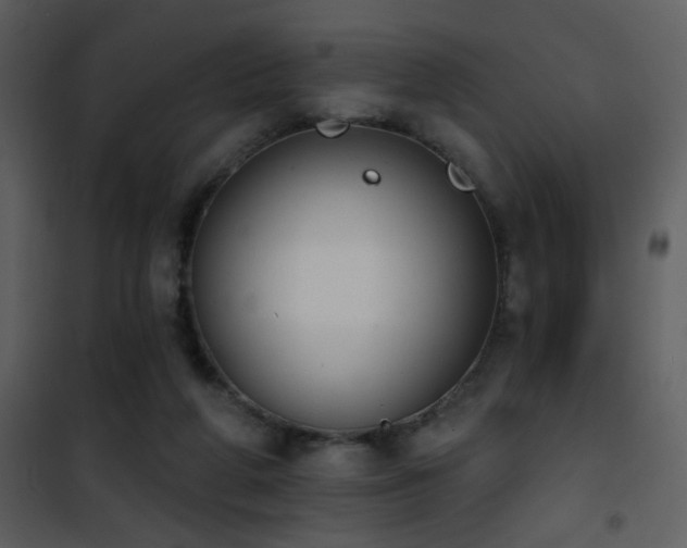 X0000101970210200807181113