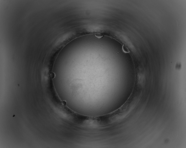 X0000101970211200807181113