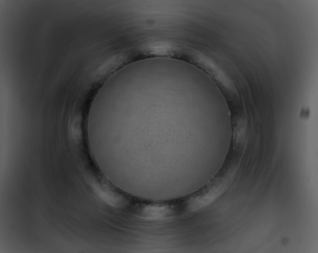 X0000101970213200807181113
