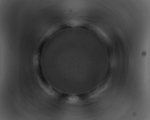X0000101970214200807181113