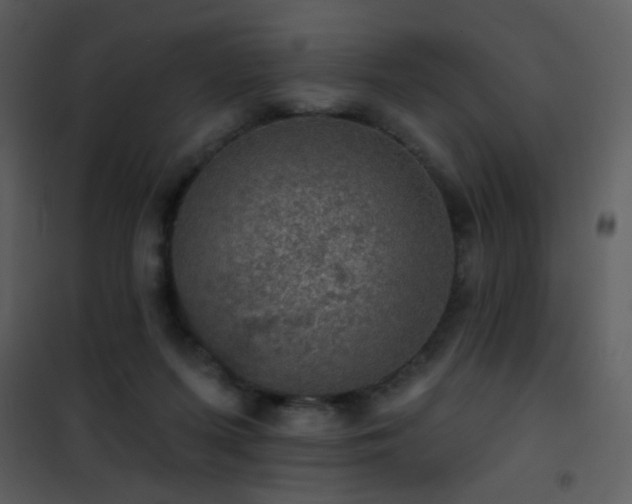 X0000101970215200807181113