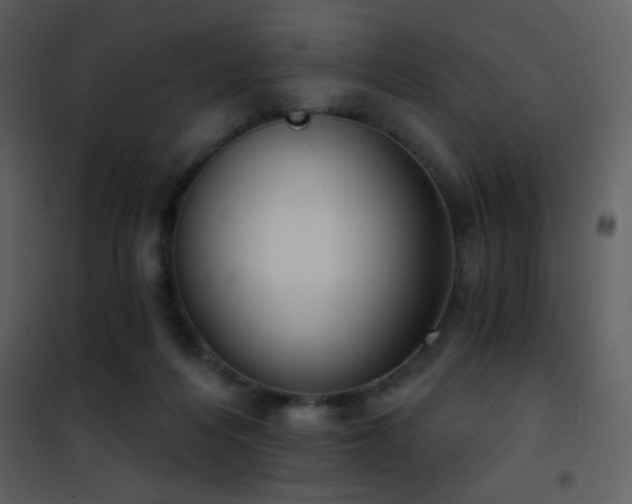 X0000101970216200807181113