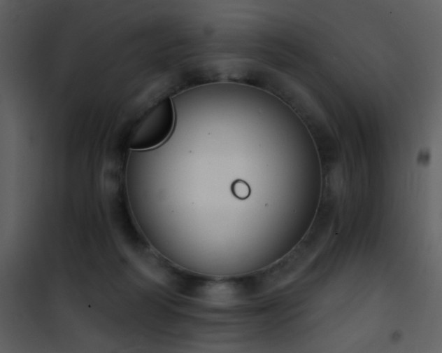 X0000101970218200807181113