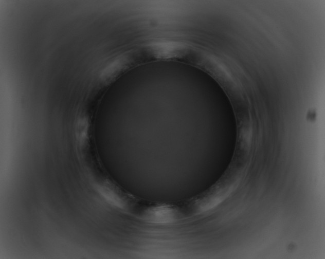 X0000101970219200807181113