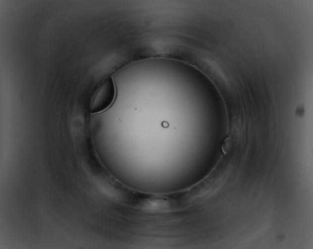 X0000101970220200807181113