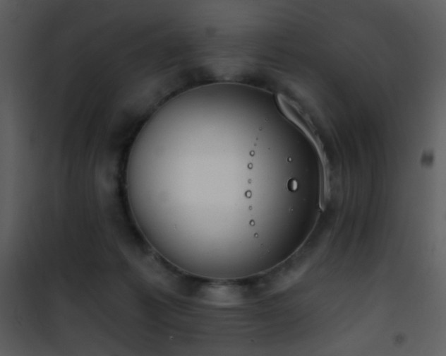 X0000101970221200807181113