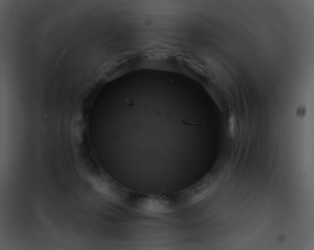 X0000101970223200807181113