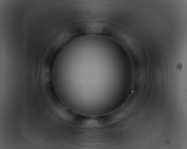 X0000101970224200807181113