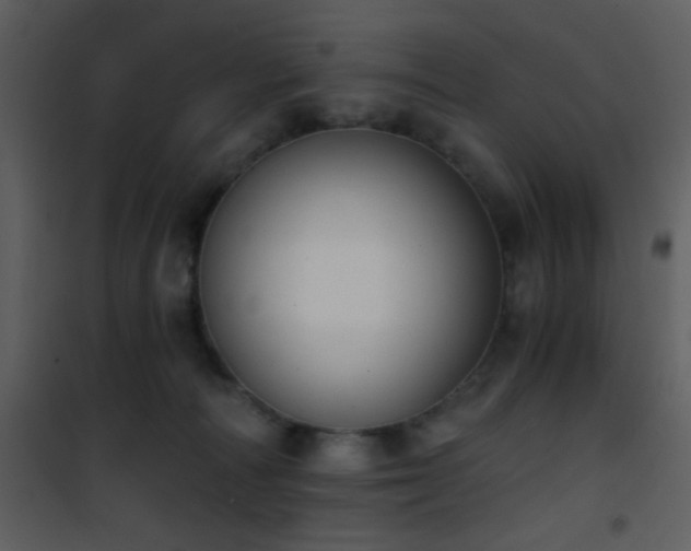 X0000101970226200807181112