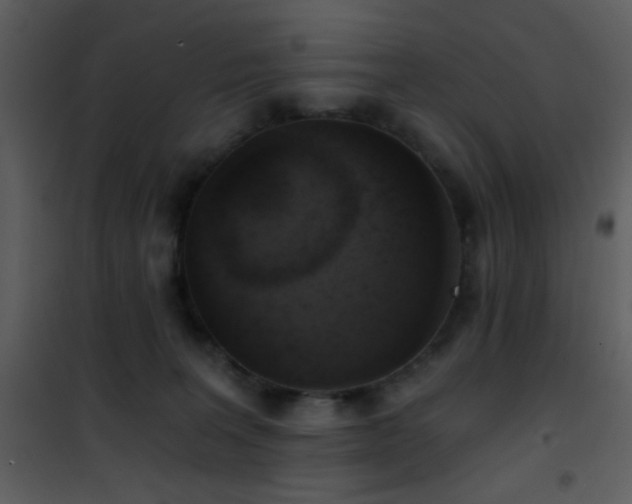 X0000101970227200807181112