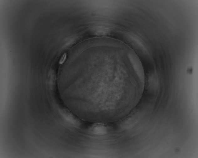 X0000101970228200807181112