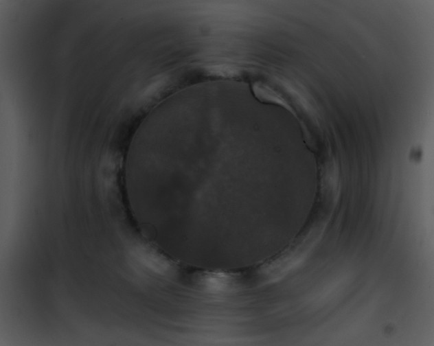 X0000101970229200807181112