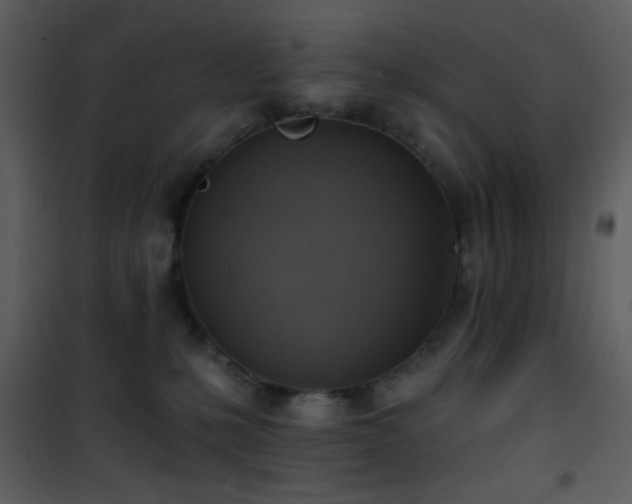 X0000101970231200807181112