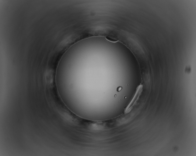 X0000101970232200807181112