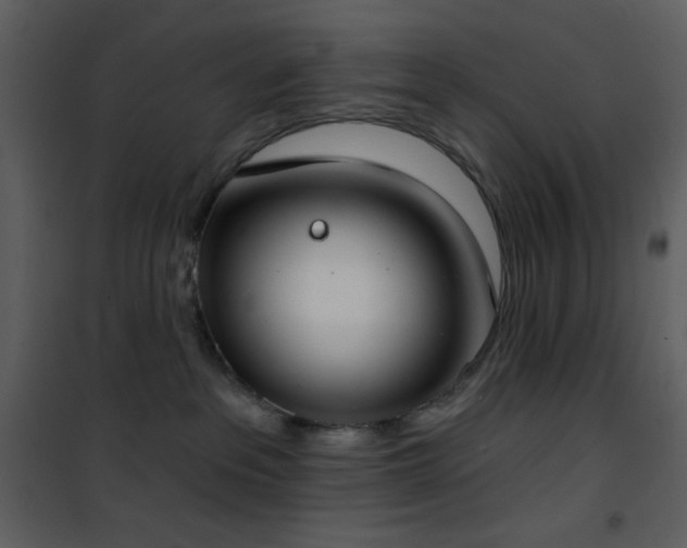 X0000101970237200807181112