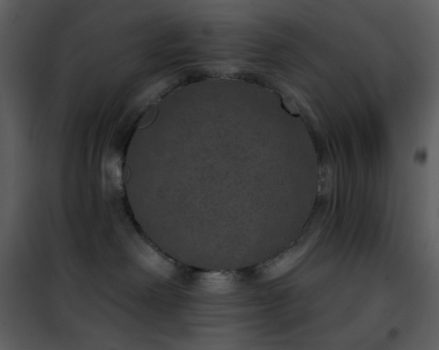 X0000101970238200807181112