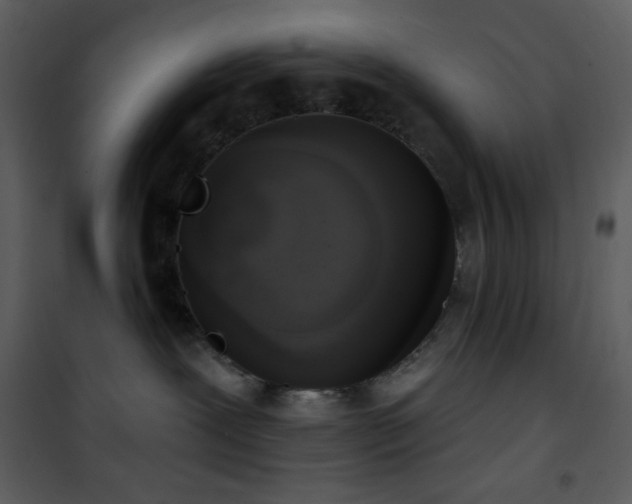 X0000101970239200807181112