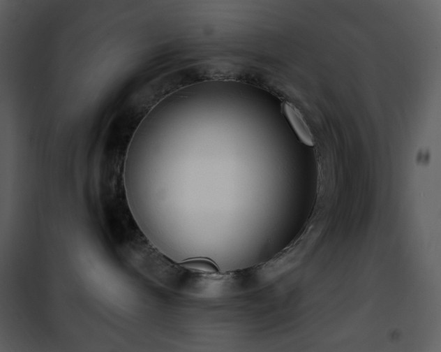 X0000101970240200807181112