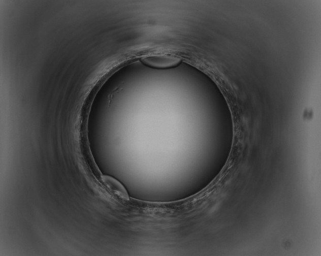 X0000101970242200807181111